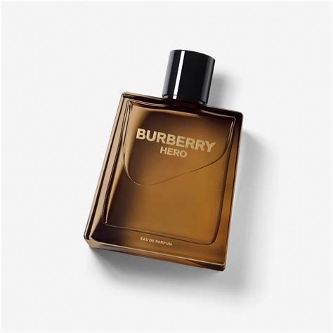 mr burberry hero